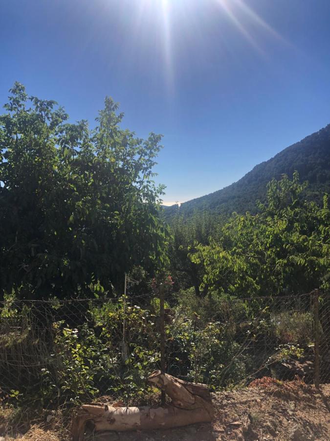 U Vechju Fragnu Vezzani Exterior foto