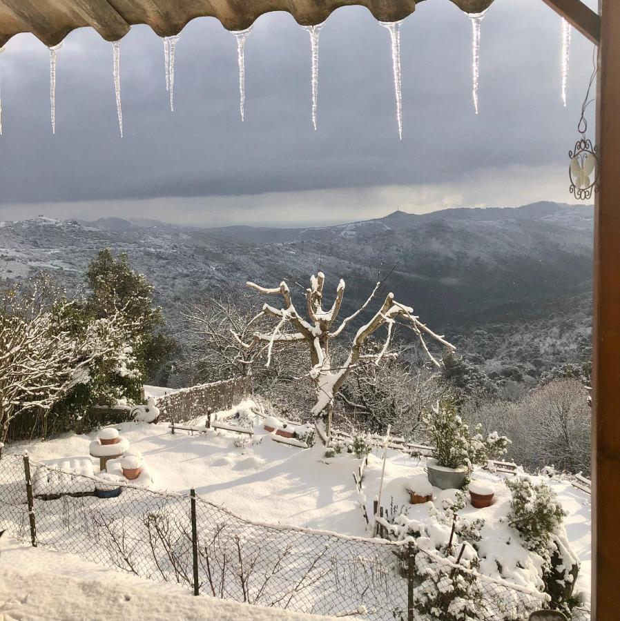 U Vechju Fragnu Vezzani Exterior foto